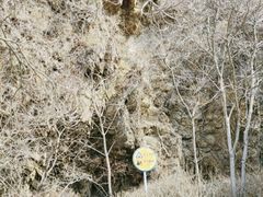 -大连老虎滩海洋公园