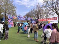 -秦皇岛乐岛海洋王国