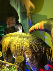 -恐龙探索乐园(磁器口店)