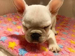 -乐宠宠物店(世纪金源店)