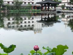 -国恩寺