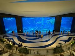 -亚特兰蒂斯•OSSIANO奥西亚诺海底餐厅
