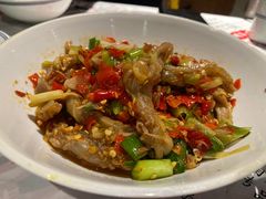 -壹盏灯(惠农店)
