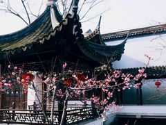 -秋霞圃