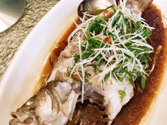 清蒸鲈鱼-和平官邸·花园餐厅(武定西路店)