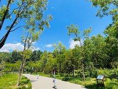 -东郊湿地公园