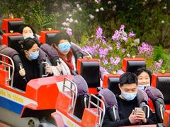 -辛玛王国游乐园