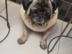 -双冰面馆(茶南店)