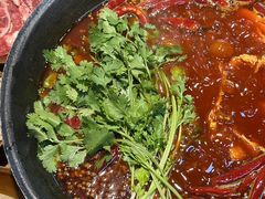 -阳阳老火锅(小南门店)