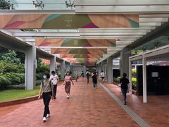 -香港大学