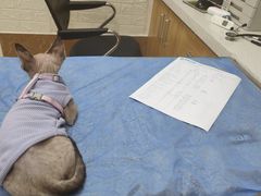 -美联众合动物医院·24h京西诊疗中心