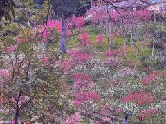 -桃花涧