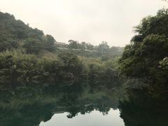 -鼎湖山风景区