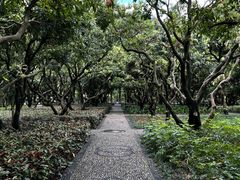 -南宁南湖公园