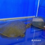 在北京吃过3次以上的湘菜馆子