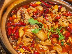 肥肠牛蛙砂锅-马头巷·食景园(苏州总店)