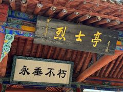 -大槐树寻根祭祖园