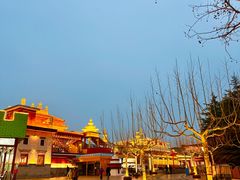-青岛方特梦幻王国