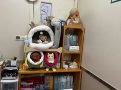 -爱妮康宠物医院·干细胞免疫细胞·肿瘤·心脏(张江店)