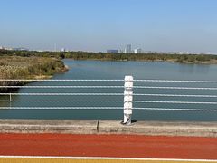 -贡湖湾湿地公园