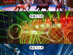 -海合安天津极地海洋公园