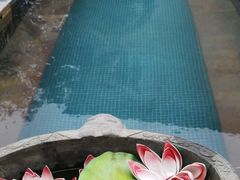 -芭东小镇温泉