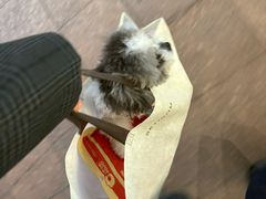 -南门涮肉(上海一店)