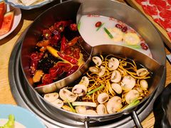 -青瓷火锅料理(西单大悦城店)