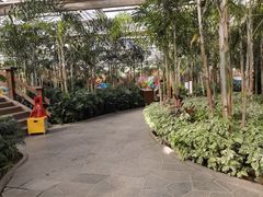 -南宫五洲植物乐园