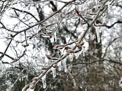 -南京市江宁方山