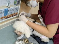 -美联众合动物医院·24h京西诊疗中心