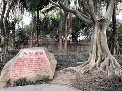 -瑞丽独树成林风景区