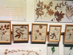-重庆自然博物馆(新馆)