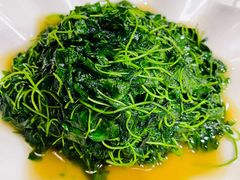 -阿英煲(凉城路店)