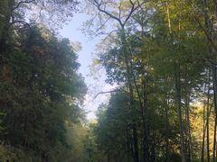 -潜山国家森林公园
