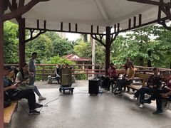 -晓港公园