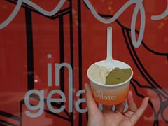 -Dip in Gelato(富民路店)