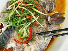 -众味海鲜大排档·活海鲜·潮汕味(南澳店)