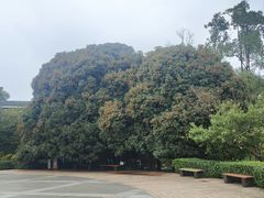 -南山植物园