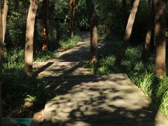 -重庆彩云湖湿地公园