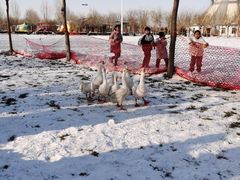 -兴芮温泉度假区