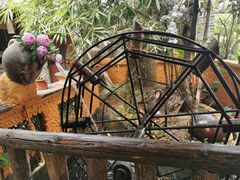 -园林美食城·本土农家菜(杨和镇店)