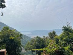 -三亚亚龙湾人间天堂鸟巢度假村