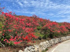 -永州阳明山国家森林公园