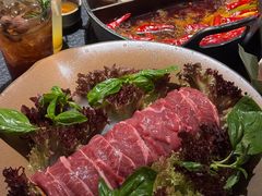-大龙燚·旷野鲜火锅(广州首店)