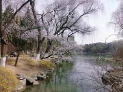 -博雅塔