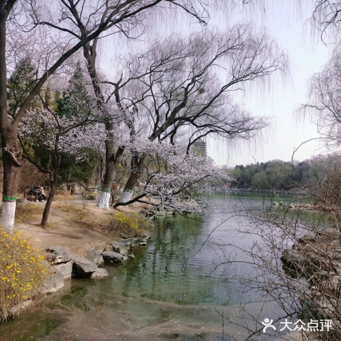 博雅塔图片
