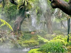 -Chom Cafe and Restaurant