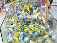 -三旗百汇商品城