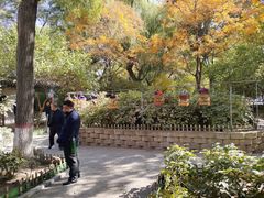 -文瀛公园